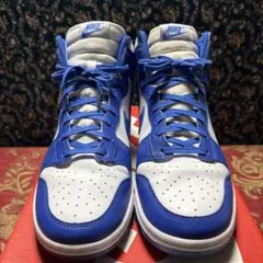NIKE DUNK HI RETRO DD1399 102