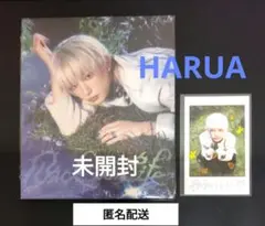 【新品未開封】&TEAM Back to Life ROAR 　HARUA