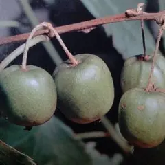 TATSUYA様 リクエスト 2点 まとめ商品