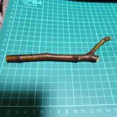 山藤裕之様 リクエスト 2点 まとめ商品