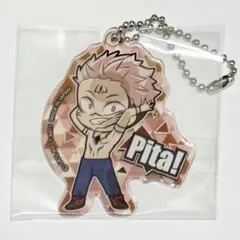 ぴた!でふぉめ 呪術廻戦 エピソード アクリルキーホルダー　宿儺