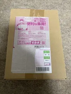 ポケモンカードゲーム 熱風のアリーナ 1BOX プロモ付き　未開封ダンボール