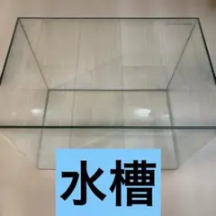 【美品】【尼崎市引き取り限定】ADA キューブガーデン 600×300×250 美品】【尼崎市引き取り限定】ADA キューブガーデン 600×300×250