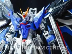 1/100 ライジングフリーダム風 GK仕様 全塗装完成品 海外製 MGサイズ 1/100 ライジングフリーダム風 GK仕様 全塗装完成品 海外製 MGサイズ