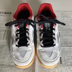 ミズノ　24.5㎝　スカイブラスター3 MIZUNO