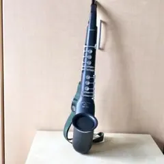 2025年最新】DH-500 CASIOの人気アイテム - メルカリ