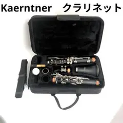 クラリネット用ハードケース 一体成型 防水 耐衝撃 軽量 ショルダー付 クラリネット用ハードケース 一体成型 防水 耐衝撃 軽量 ショルダー付