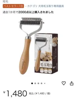 Item thumbnail for item e5f0b866-11c1-4bb9-bbff-f9cdd0b2f6dc