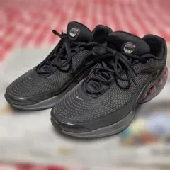 暗所保管NIKEエアマックスDNオールナイト 29.0cm DV3337-008