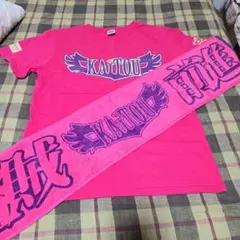 Item thumbnail for item 9e9f3a2a-9860-4e83-861b-6339dbafadb8