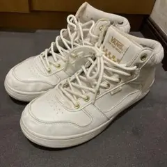 Item thumbnail for item b69ae550-216a-4a78-94d5-f87237e18201