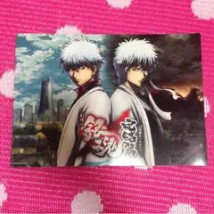 銀魂  パンフレット