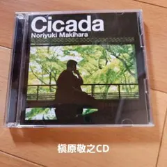 Z23074】槇原敬之/Cicada - メルカリ