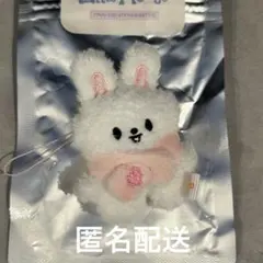 stray kids ペンミ SKZOO マイクロ ぬいぐるみ ヒョンジン - メルカリ