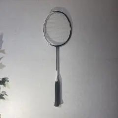 YONEX ASTROX FD Fug5 28lbs