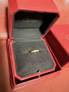 2025年4月購入 Cartier パンテール ミニ ステンレス - メルカリ