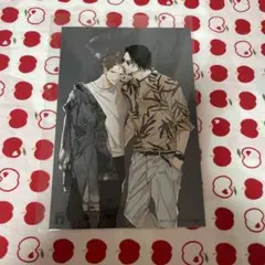 ロボコ様 リクエスト 2点 まとめ商品