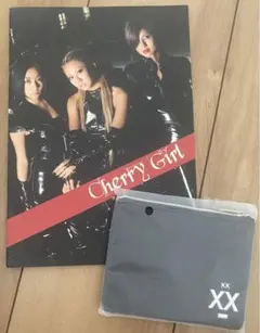 Item thumbnail for item 08260d3e-0da7-4ed4-a5fd-4ed64d99b6f9