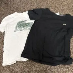 LACOSTE Tシャツ 2枚セット サイズ8のサムネイル