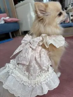 JEWEL様専用犬服ハンドメイドワンピース