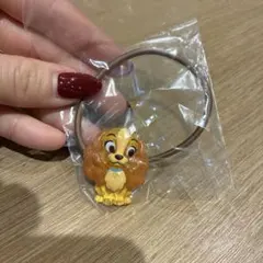 ディズニーキャラクター　Twinkle ヘアゴム　レディ