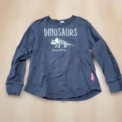 恐竜グラフィックトレーナー 130