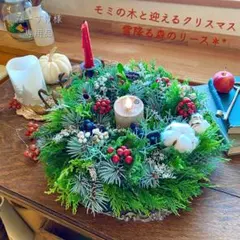 ⚠️専用品⚠️ モミの木 と迎える クリスマス 雪降る森の リース 30㎝ ⚠️専用品⚠️ モミの木 と迎える クリスマス 雪降る森の リース 30