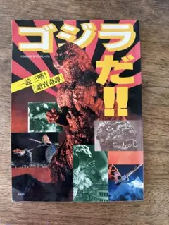 ゴジラ対ヘドラ 金枠 怒りカード - メルカリ
