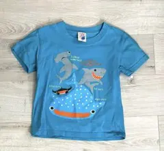 Item thumbnail for item 56306f85-641f-4c55-8345-4b14fcd3de4d