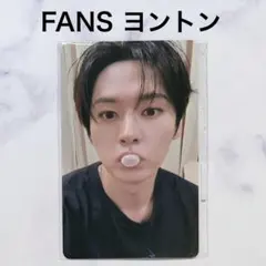 スキズ 韓国 KARMA FANS ヨントン 特典 トレカ リノ