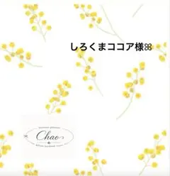 ミニチュアスイーツꕤ︎︎しろくまココア様専用ページ