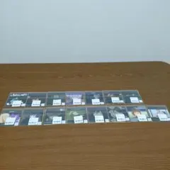 DARKER THAN BLACK ステッカー 15種コンプ
