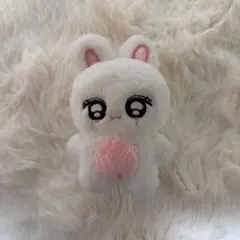 ive ウォニョン マスタードールまとめ売り Amazon | ウォニョン ぬいぐるみ 10cm ive マスター ドール 人形