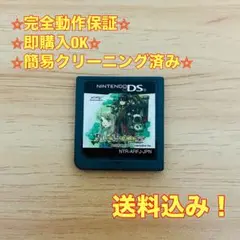 ルーンファクトリー 新牧場物語 DS
