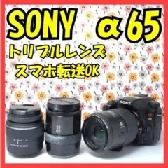 2026年最新】α65 レンズの人気アイテム - メルカリ
