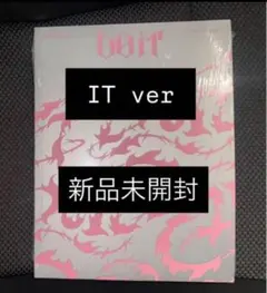 新品未開封　StrayKids DO IT it ver アルバム CD 1冊