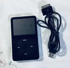 S1321 Apple アップル iPod classic A1238 80GB - メルカリ
