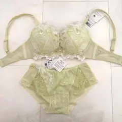 ☆ワコール パルファージュ F65・M☆44G