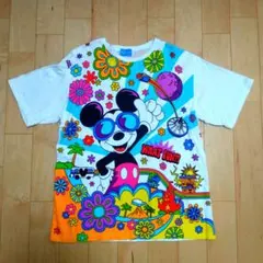 Item thumbnail for item 2f87c9f4-1fe7-4670-991d-f0cc4413b3b1