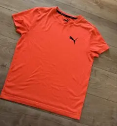 ✨美品 PUMA オレンジ Tシャツ 150✨
