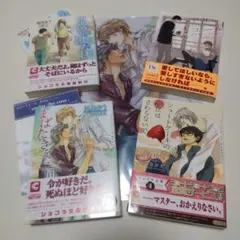 D 凪良ゆう　BL まばたきを三回 特典 ペーパー クリアファイル あいのはなし