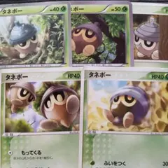 ポケモンカード　タネボー　XY　BW　PCG　ADV　5枚セット