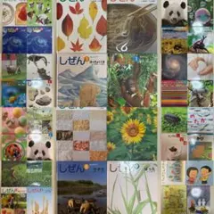 フレーベル館　キンダー　しぜん　37冊＋おまけ４冊　合計41冊！　キンダーブック