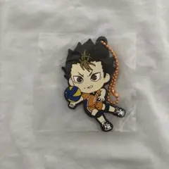 ハイキュー ラバスト