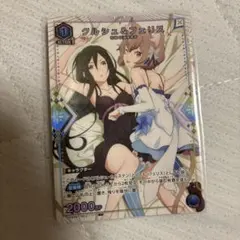 プリズムコネクト 葛城＆斑鳩 PR 閃乱カグラ - メルカリ