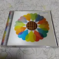 HOLYDAY ホリデイ/PSY·S サイズ