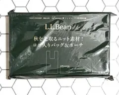 L.L.Bean ロゴ入りニットバッグ＆ポーチ リンネル11月号付録