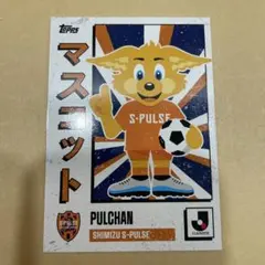 カルビーＪリーグカード jambalaya_25joc-089