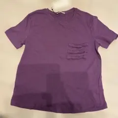 ZARA TRAFALUC パープル Tシャツ S