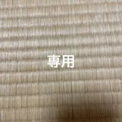 BabolaT バボラピュアアエロ100 テニスラケット　ケース付 Amazon.co.jp: バボラ Babolat テニスバッグ・ケース ピュアアエロ